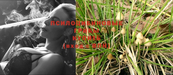ECSTASY Арсеньев