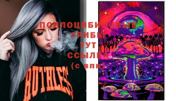 тгк Аркадак