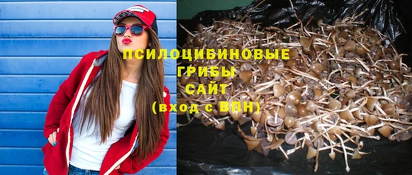 ECSTASY Армянск