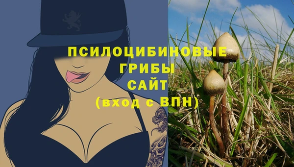 тгк Аркадак