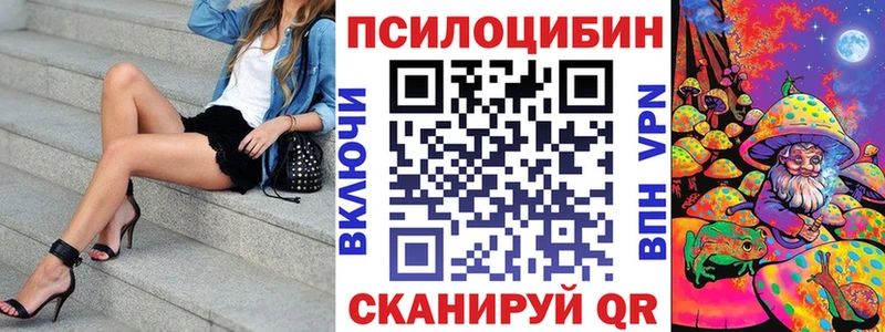 Псилоцибиновые грибы Psilocybine cubensis  купить   Пудож 